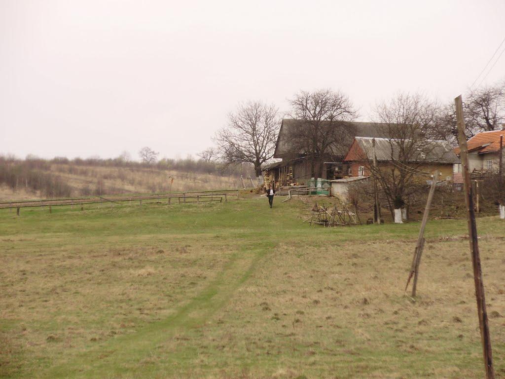 Селисько з panoramio.com - Селиско