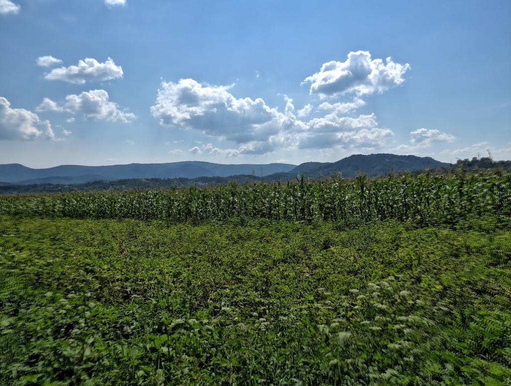 Керецьки з panoramio.com - Керецьки