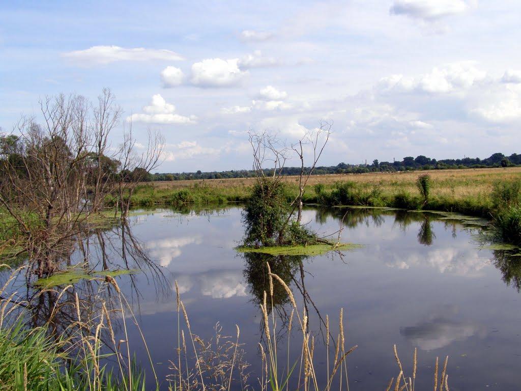 Ретик з panoramio.com - Ретик