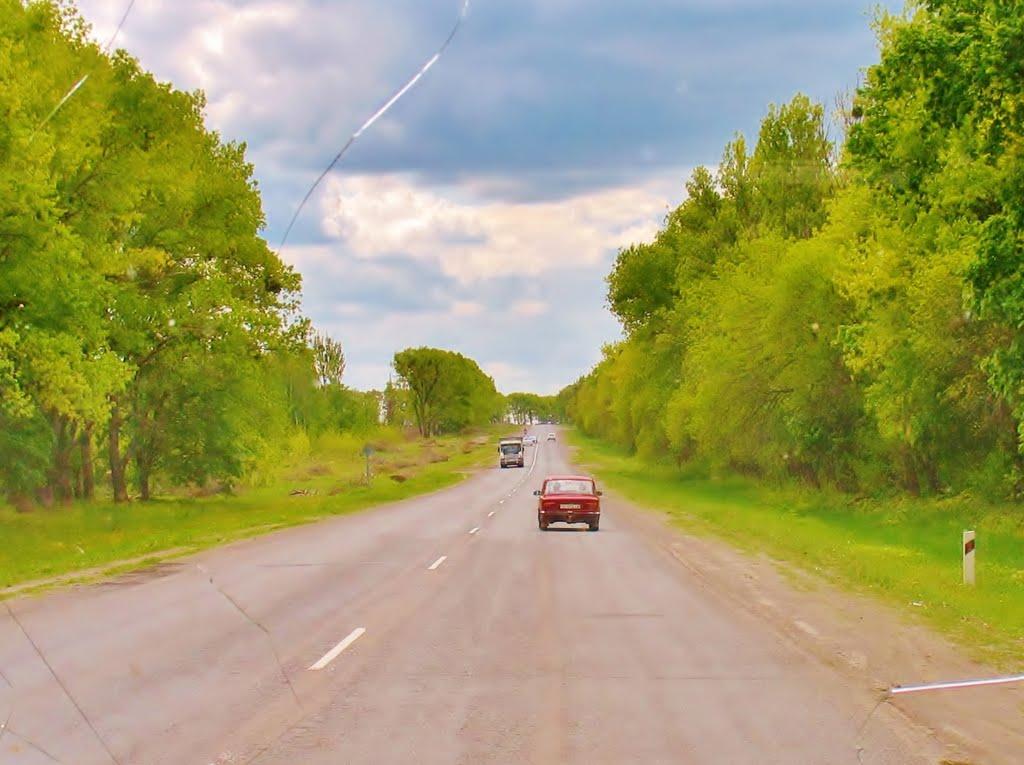 Козацьке з panoramio.com - Козацьке