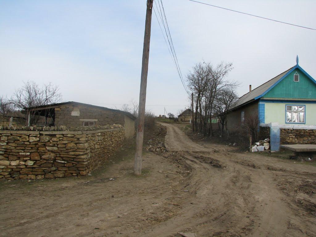 Олександрівка з panoramio.com - Александровка