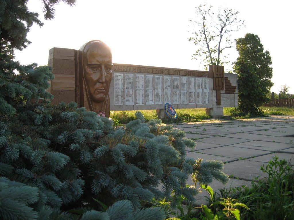 Срібне з panoramio.com - Сребное