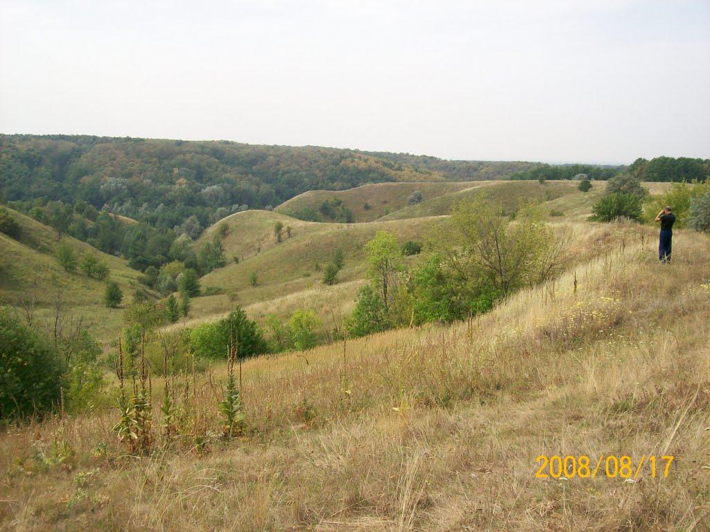 Курилівка з panoramio.com - Куриловка