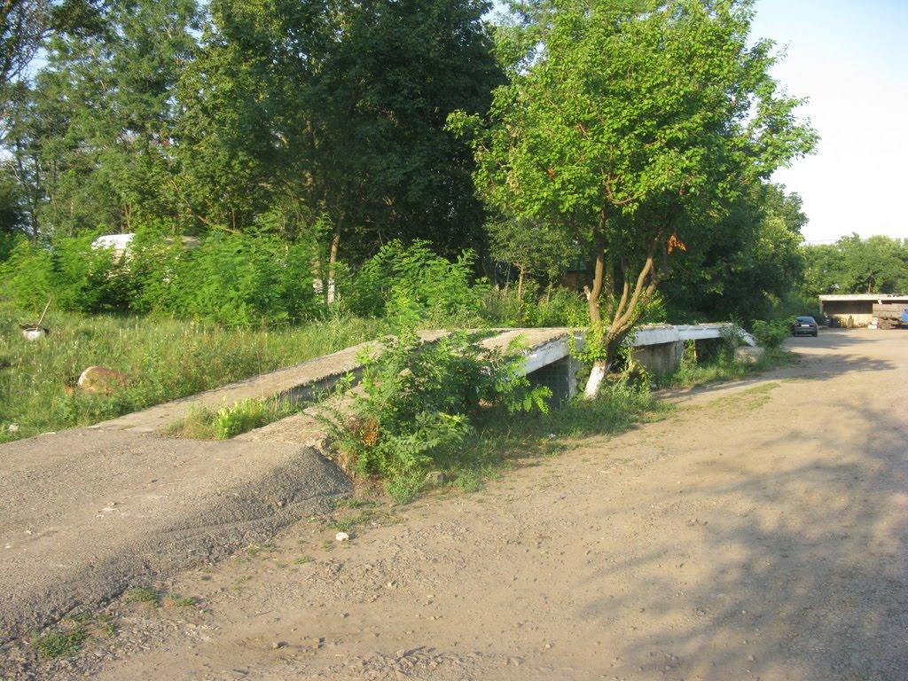 Вишнева з panoramio.com - Вишнева