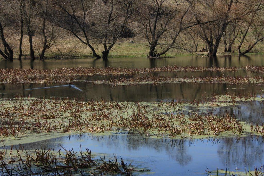 Чуднів з panoramio.com - Чуднів