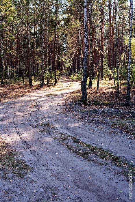 Гута-Межигірська з panoramio.com - Гута-Межигірська