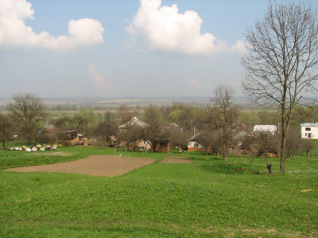 Бабин-Зарічний з panoramio.com - Бабин-Зарічний
