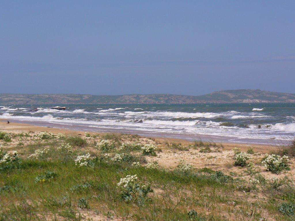 Щолкіне з panoramio.com - Щелкино