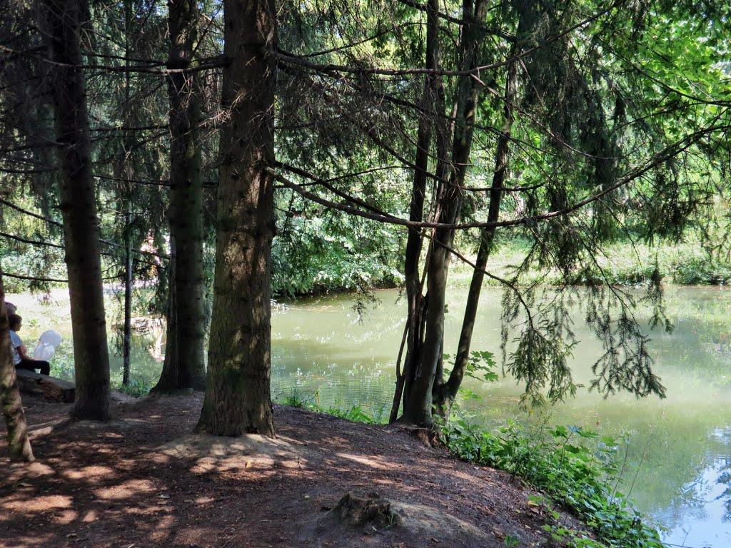 Городнє з panoramio.com - Городнє