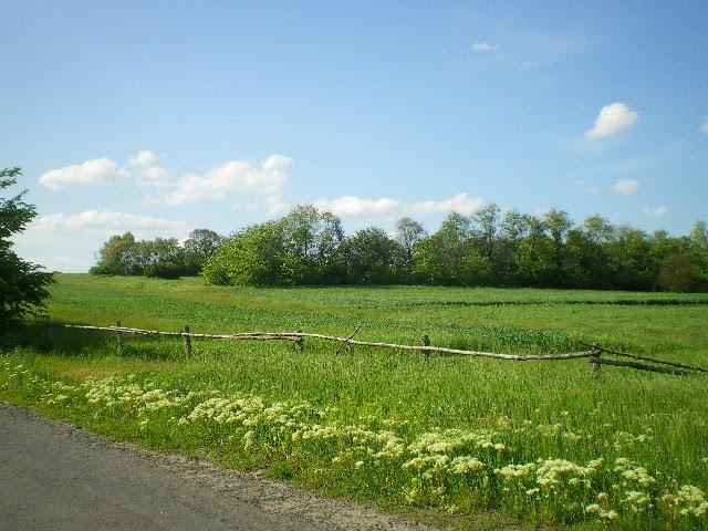 Слюсарі з panoramio.com - Слюсари