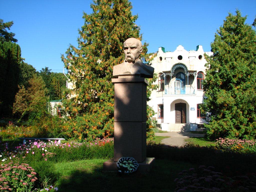 Березова Рудка з panoramio.com - Березовая Рудка