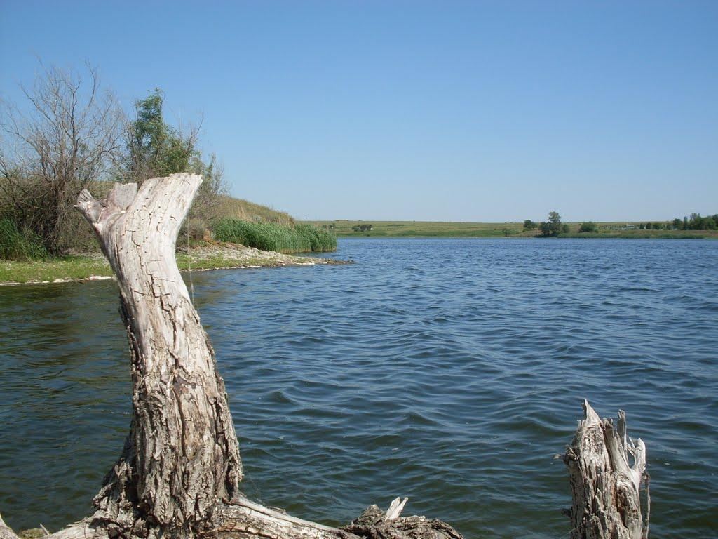 Павлопіль з panoramio.com - Павлопіль