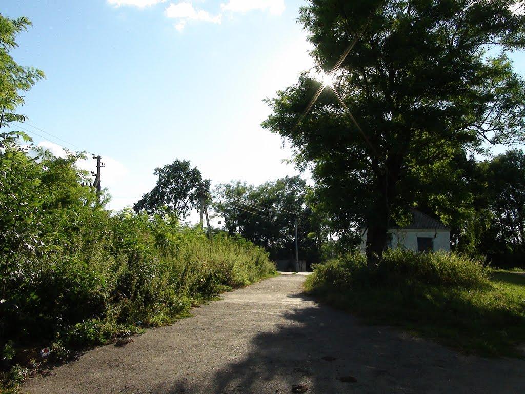 Люлинці з panoramio.com - Люлинцы