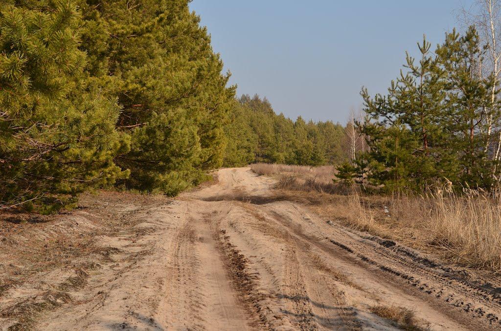 Бахметівка з panoramio.com