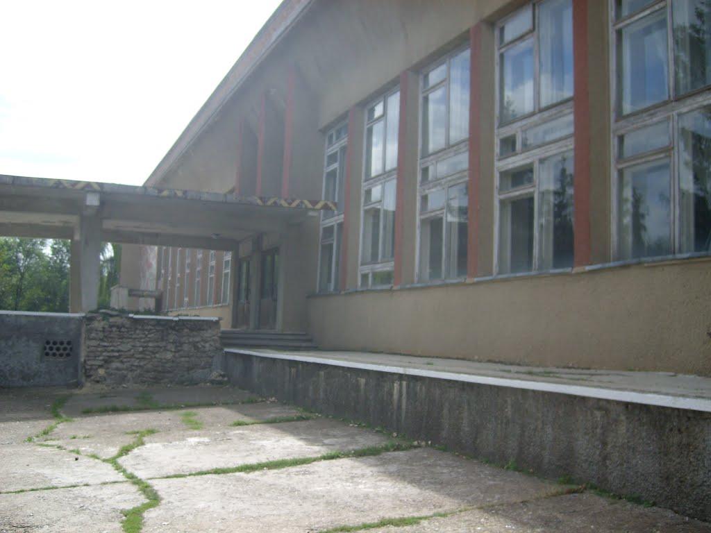 Федосіївка з panoramio.com - Федосеевка