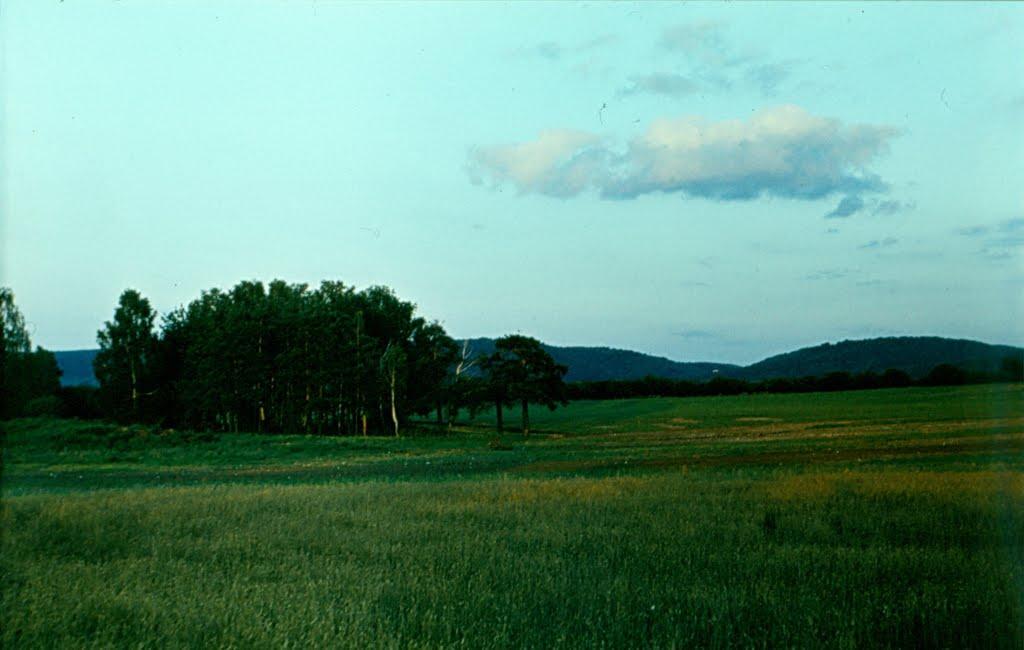 Лішня з panoramio.com - Лішня