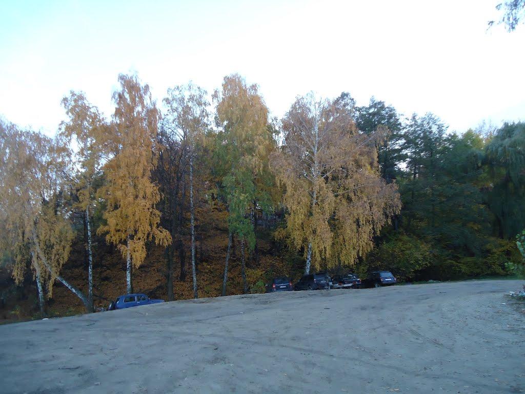 Старі Петрівці з panoramio.com - Старі Петрівці