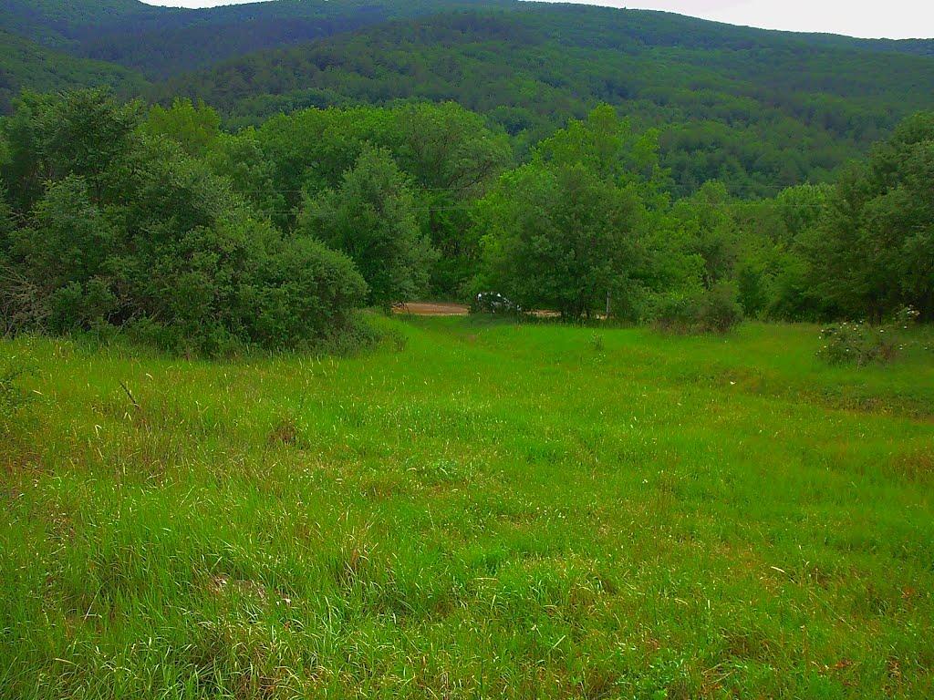 Щасливе з panoramio.com - Счастливое