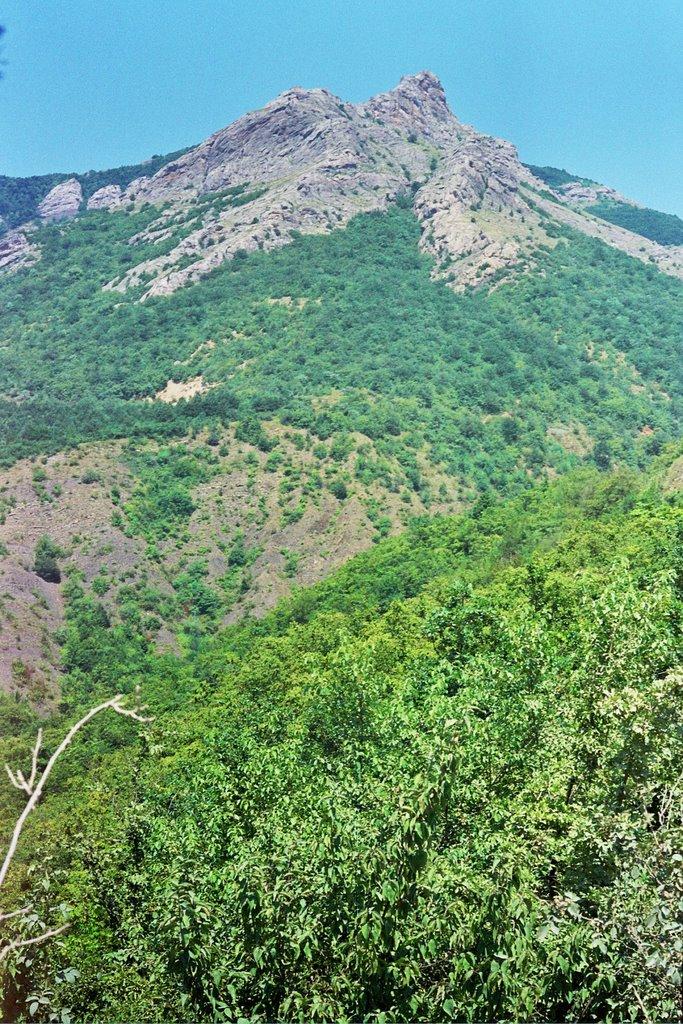 Зеленогір'я з panoramio.com - Зеленогір'я