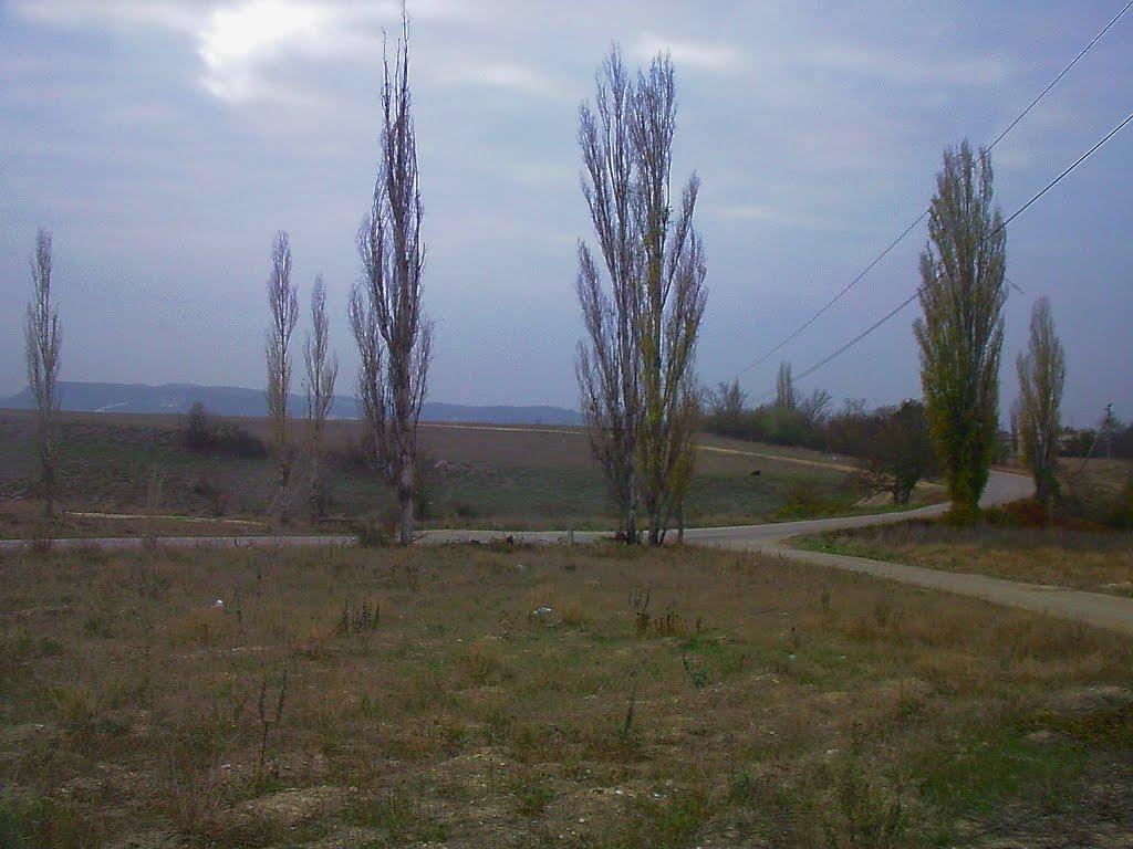 Красний Мак з panoramio.com - Красный Мак