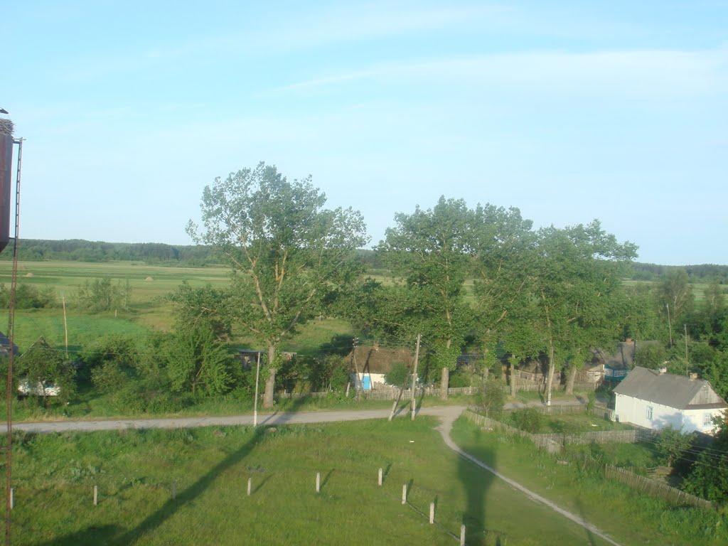 Куликовичі з panoramio.com - Куликовичі