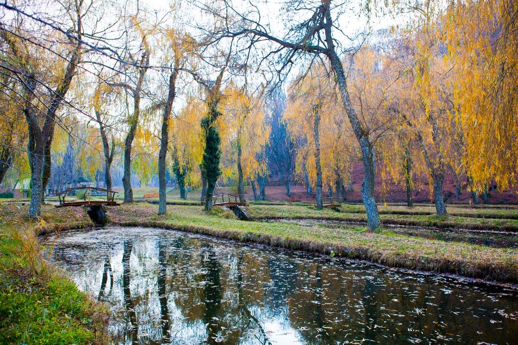 Розовий з panoramio.com (ч.2) - Розовий