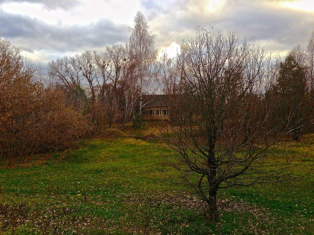 Дитятки з panoramio.com - Дитятки