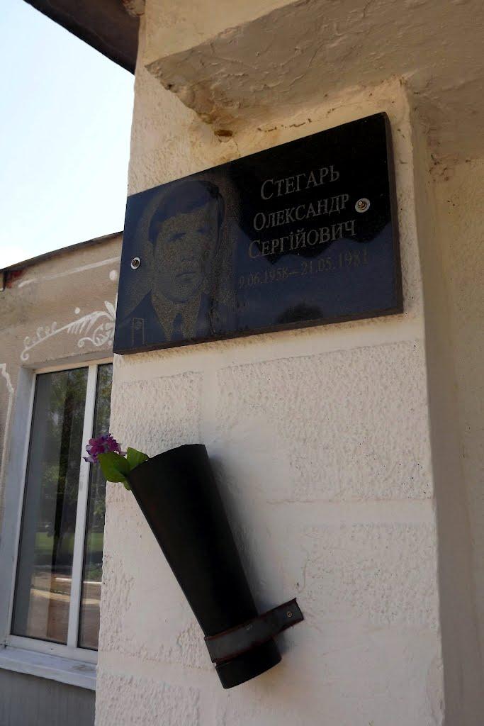 Мартоноша з panoramio.com - Мартоноша