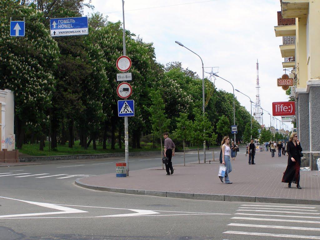 Чернігів з panoramio.com (ч.5) - Чернігів