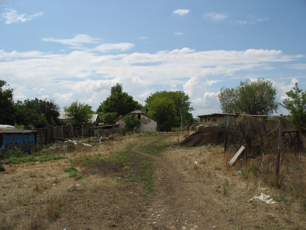 Дубки з panoramio.com - Дубки