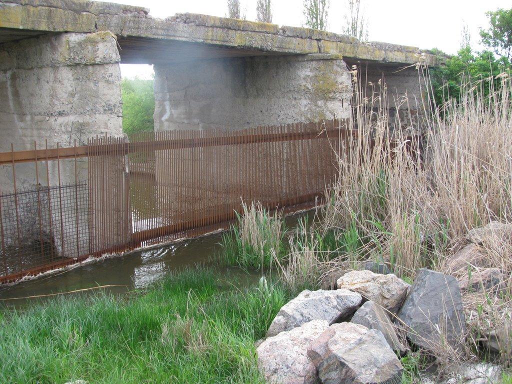 Маложенівка з panoramio.com - Маложенівка