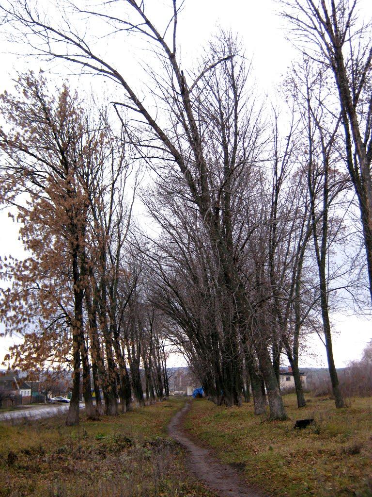 Довжик з panoramio.com - Довжик