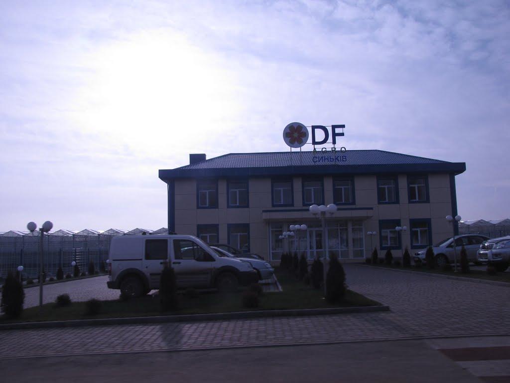 Синьків з panoramio.com - Синьків