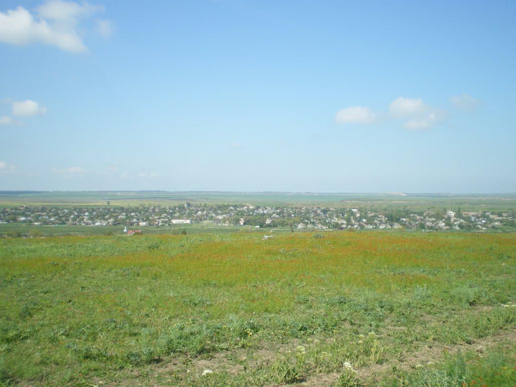 Приозерне з panoramio.com - Приозерне