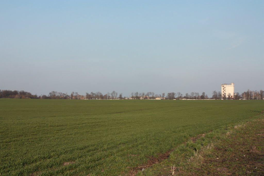 Волосівка з panoramio.com - Волосівка