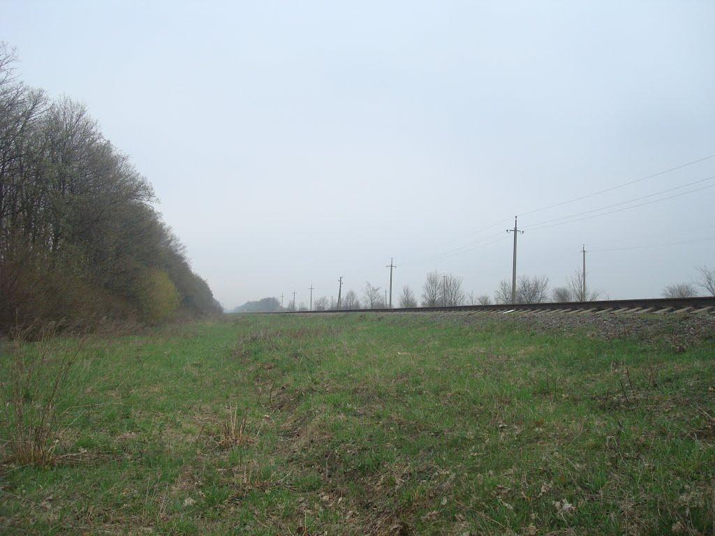 Грибенинка з panoramio.com - Грибенинка