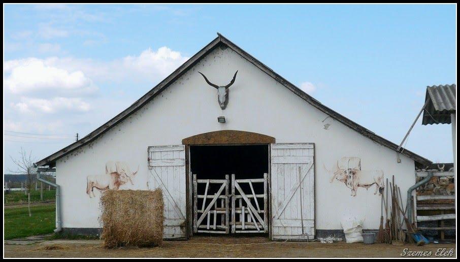 Астей з panoramio.com - Астей