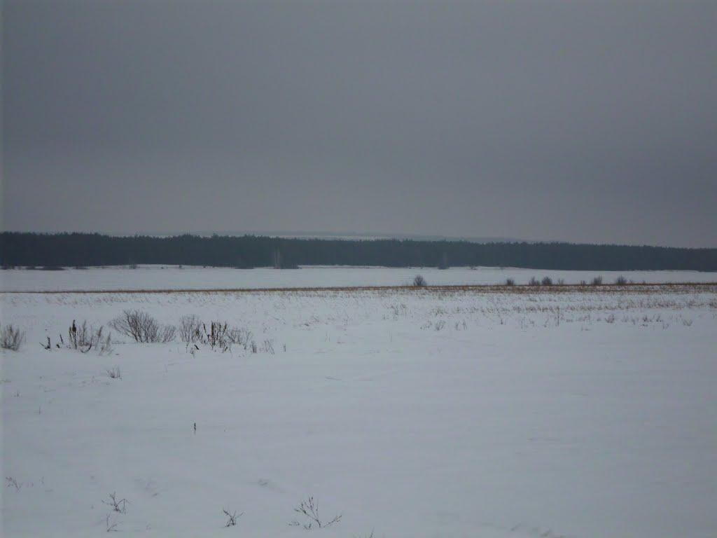 Жовтневе з panoramio.com - Жовтневое