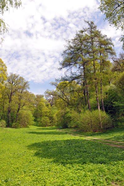 Петрушівка з panoramio.com - Petrushivka