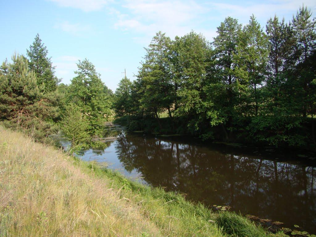 Свидівок з panoramio.com - Свидовок