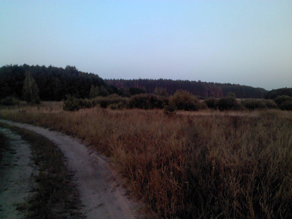Бахметівка з panoramio.com
