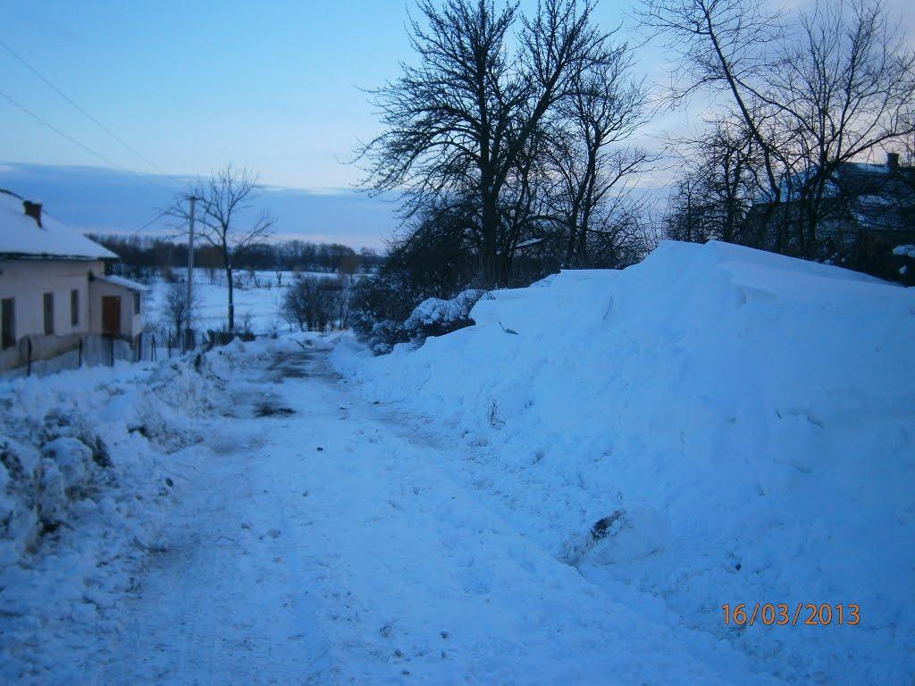 Берездівці з panoramio.com - Берездівці