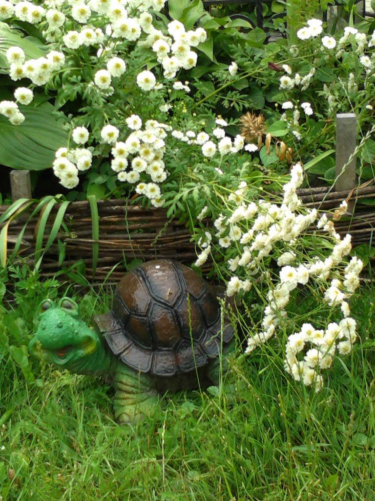 Дядьковичі з panoramio.com - Дядьковичи