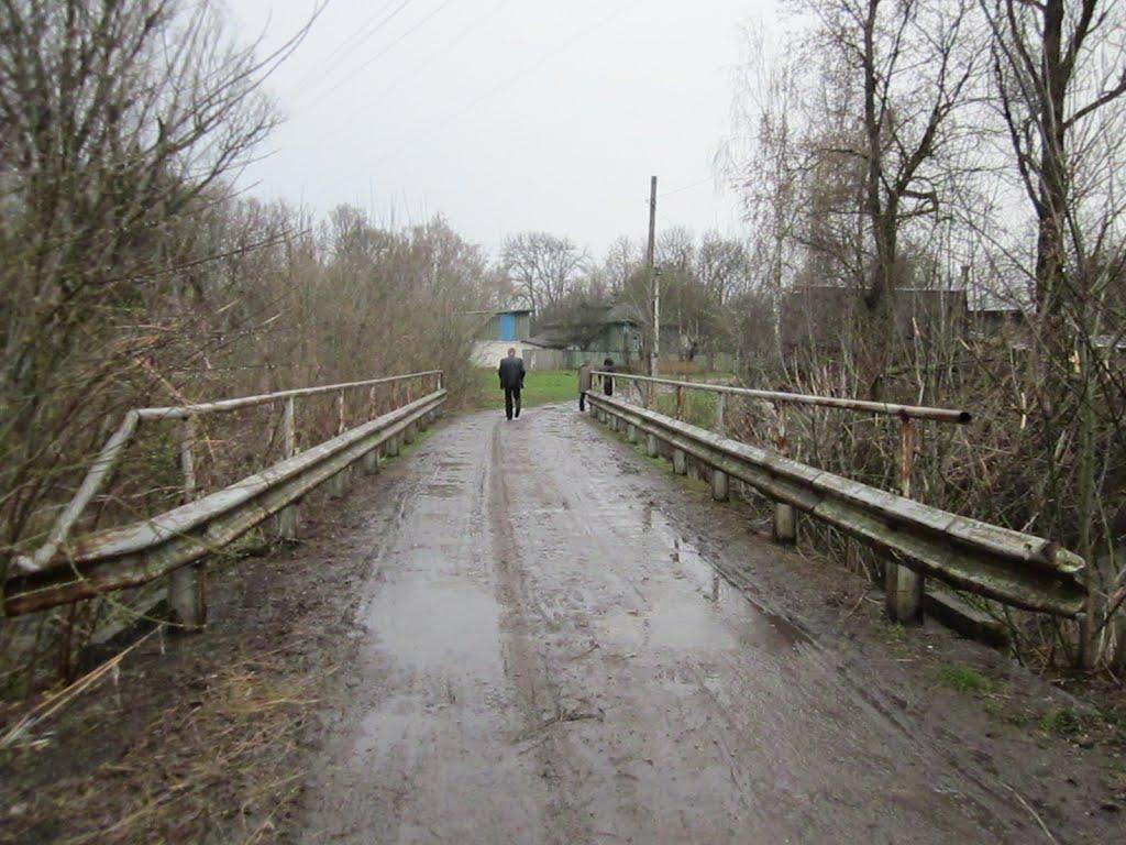 Нові Млини з panoramio.com - Новые Млины