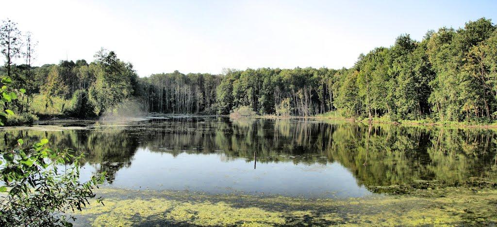 Червона Зірка з panoramio.com - Червоная Зирка