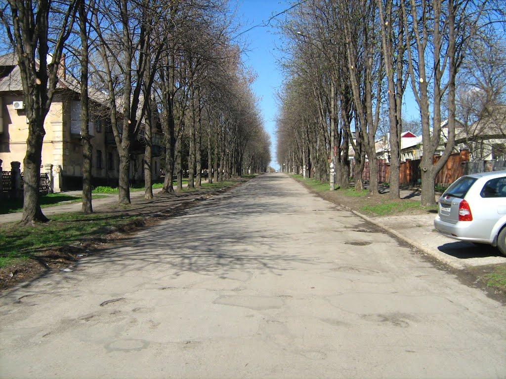Кам'яне Поле з panoramio.com - Kamyane Pole