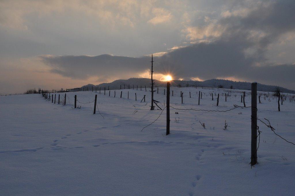 Перегінське з panoramio.com - Pereginske