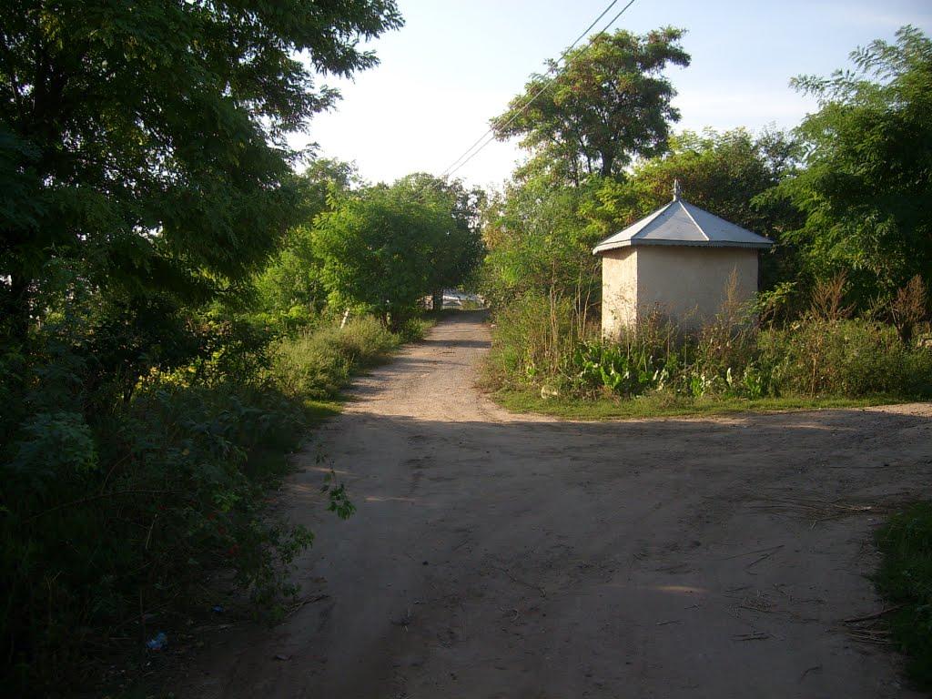 Федосіївка з panoramio.com - Федосеевка