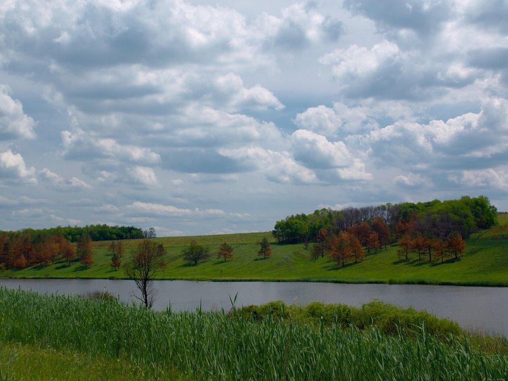 Шестакове з panoramio.com - Шестаково