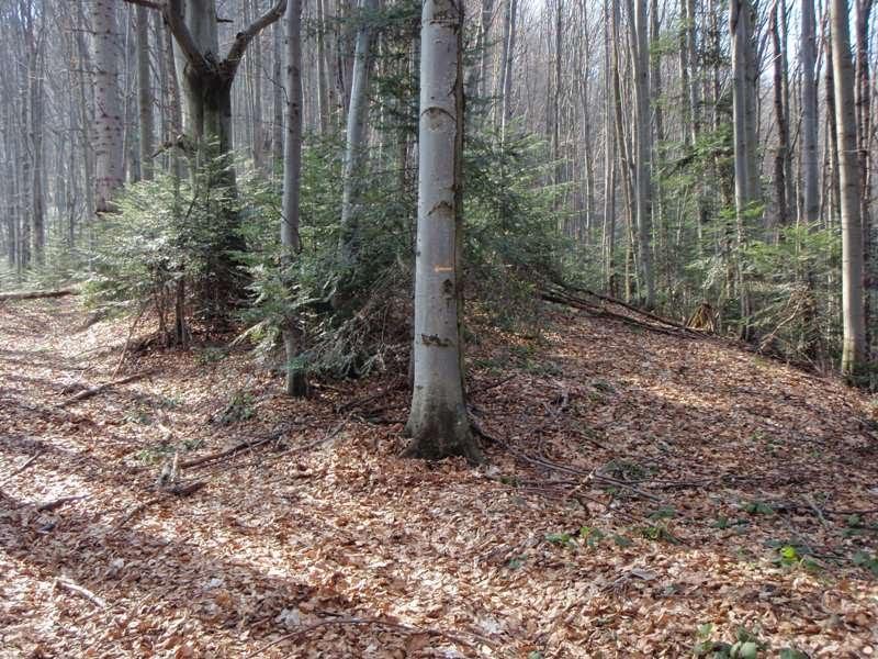Вишка з panoramio.com - Vyshka